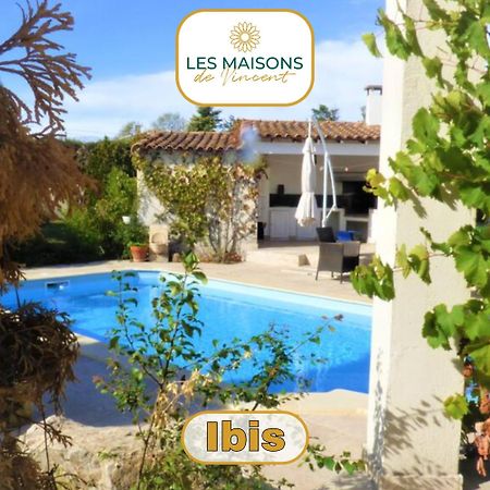 Ibis - Villa Avec Piscine, Jardin Et Parking Arles Bagian luar foto